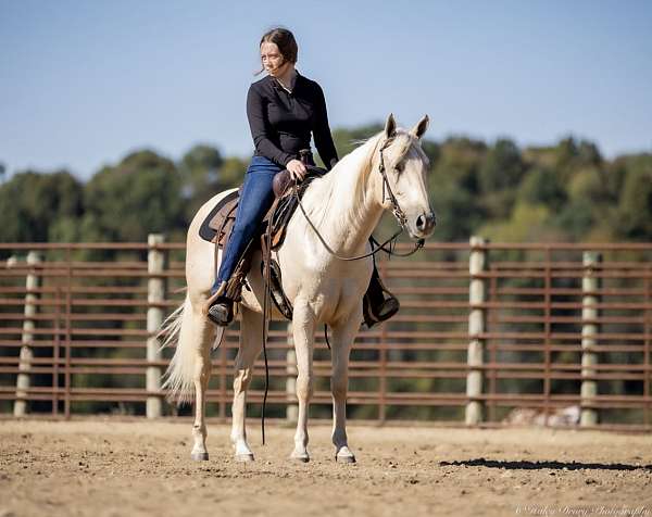 trail-riding-quarter-horse